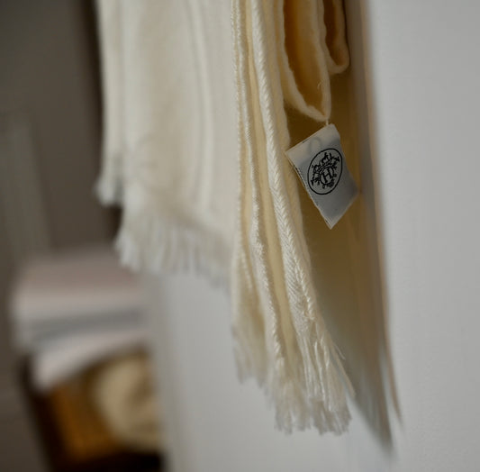 Hermès scarf